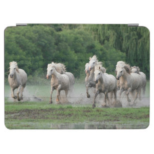 Camargue-paarden die in water lopen iPad air cover