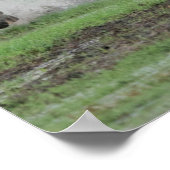 Camargue-paarden die in water lopen poster (Hoek)