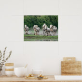 Camargue-paarden die in water lopen poster (Keuken)
