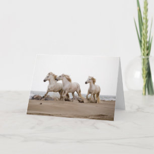 Camargue-paarden die op het strand rennen kaart