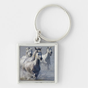 Camargue-paarden die op marshland lopen om over te sleutelhanger
