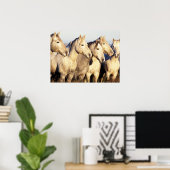 Camargue-paarden (Eguus caballus) Poster (Thuiskantoor)