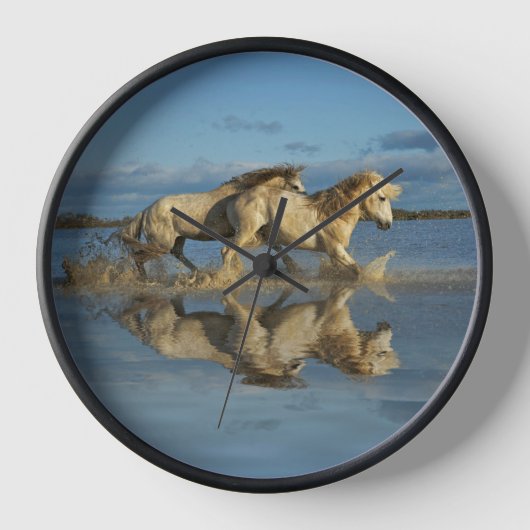 Camargue-paarden en weerspiegeling, Zuid-Frankrijk (Voorkant)