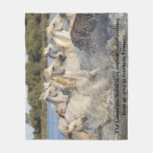 Camargue Paardenras van Franse paardenpest Fleece Deken (Voorkant)