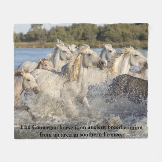 Camargue Paardenras van Franse paardenpest Fleece Deken (Voorkant (Horizontaal))