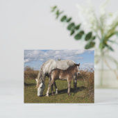 Camargue-paardveulen met moeder briefkaart (Staand voorkant)