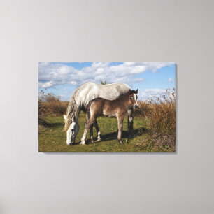 Camargue-paardveulen met moeder canvas afdruk