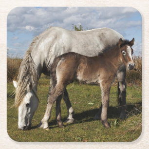Camargue-paardveulen met moeder kartonnen onderzetters