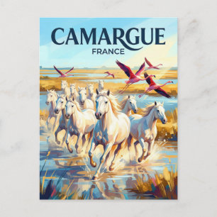 Camargue Regionaal Natuurpark Frankrijk Briefkaart