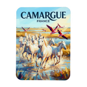 Camargue Regionaal Natuurpark Frankrijk Magneet