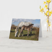 Camargue veulen met moeder kaart (Gele Bloem)