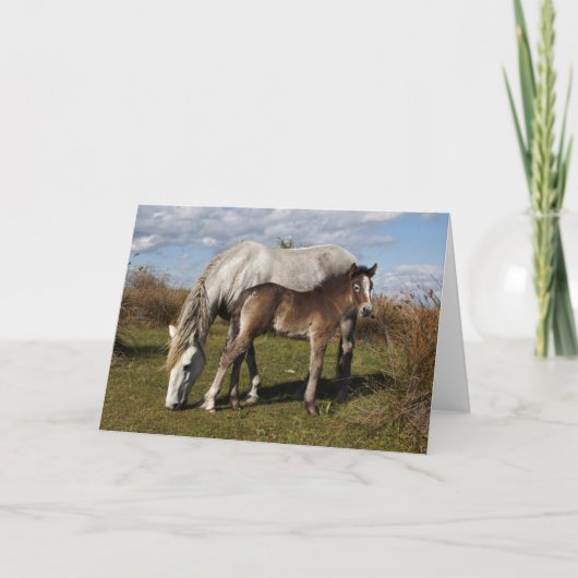 Camargue veulen met moeder kaart (Voorkant)