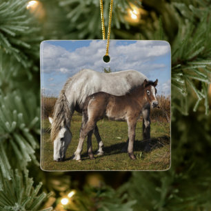Camargue veulen met moeder keramisch ornament