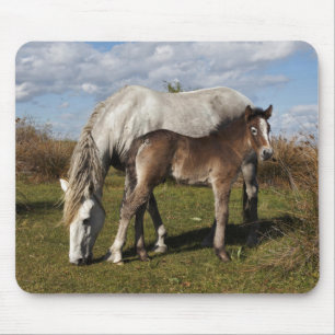 Camargue veulen met moeder muismat