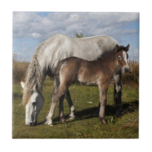 Camargue veulen met moeder tegeltje