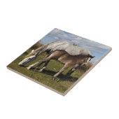 Camargue veulen met moeder tegeltje (Zijkant)