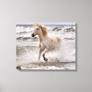 Camarguepaard dat uit de branding loopt canvas afdruk