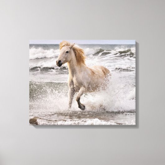 Camarguepaard dat uit de branding loopt canvas afdruk (Voorkant)