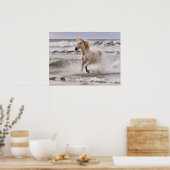Camarguepaard dat uit de branding loopt poster (Keuken)