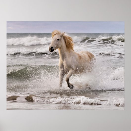 Camarguepaard dat uit de branding loopt poster (Voorkant)