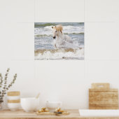 Camarguepaard in de branding poster (Keuken)