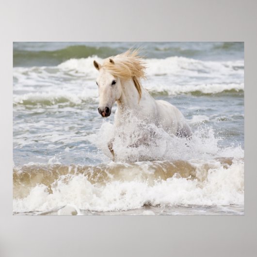 Camarguepaard in de branding poster (Voorkant)