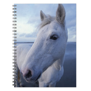 Camarguepaard Notitieboek