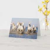 Camarguepaarden Kaart (Gele Bloem)