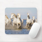 Camarguepaarden Muismat (Met muis)
