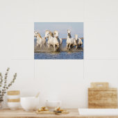 Camarguepaarden Poster (Keuken)