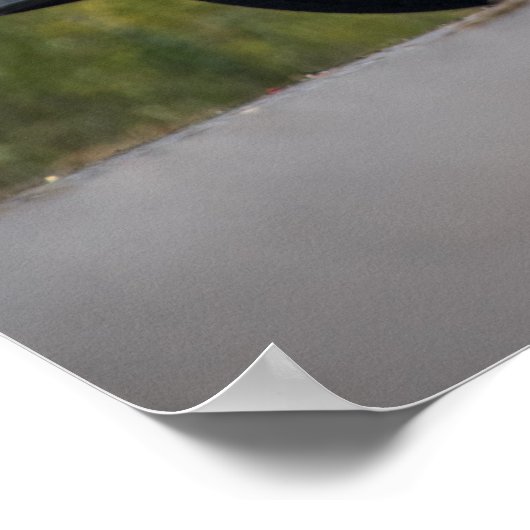 Camaro Poster (Hoek)