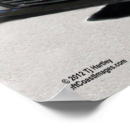 CAMARO SUPER SPORT POSTER (Hoek)