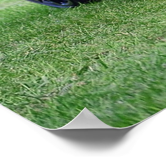 Camaro ZL1 Poster (Hoek)