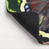 Camberwell Beauty of Mourning Cloak butterfly Muismat (Hoek)