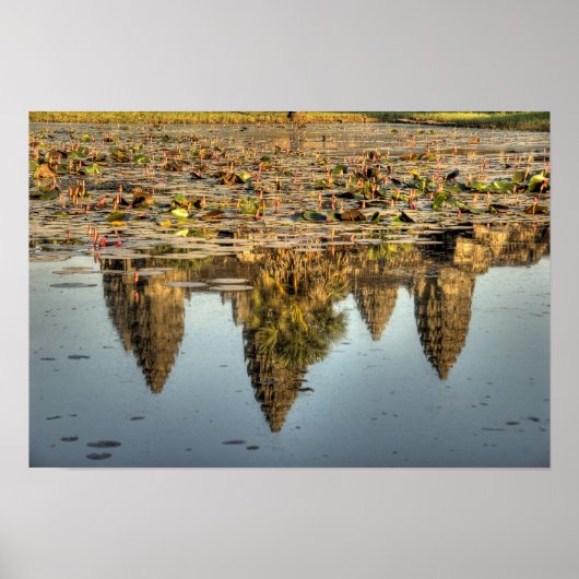 Cambodia, Angkor Wat. Weerkaatsing van tempel Poster (Voorkant)