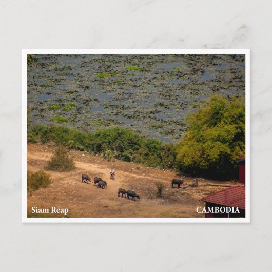 Cambodian Village Landscape Postcard Feestdagenkaart (Voorkant)