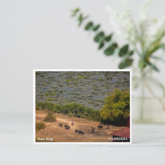 Cambodian Village Landscape Postcard Feestdagenkaart (Staand voorkant)