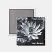 Cambodja - Lotus Flower BW (Fridge Magnet) Magneet (Voorkant / Achterkant)