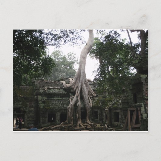 Cambodjaanse tempel in het Oerwoud Briefkaart (Voorkant)