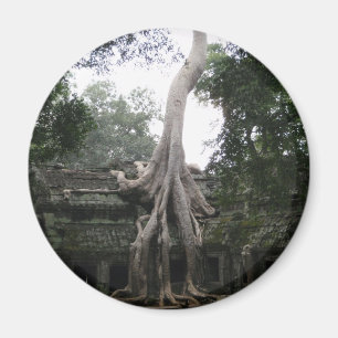 Cambodjaanse tempel in het Oerwoud Magneet