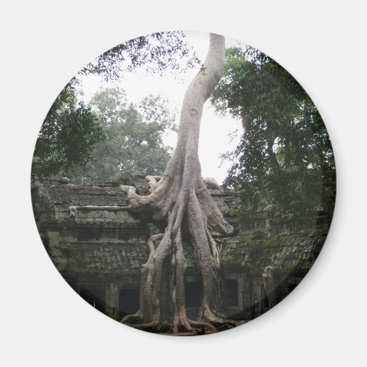 Cambodjaanse tempel in het Oerwoud Magneet (Voorkant)