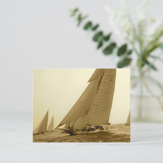 cambria briefkaart (Staand voorkant)