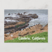 Cambria California Briefkaart (Voorkant)