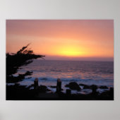 CAMBRIA, CALIFORNIA POSTER (Voorkant)