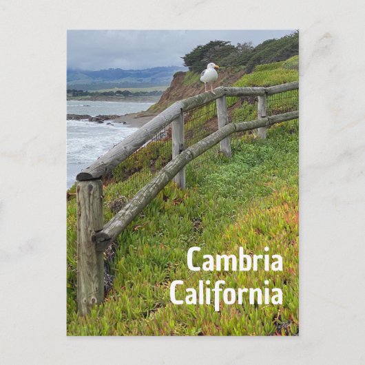 Cambria Californië Briefkaart (Voorkant)