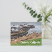 Cambria Californië Briefkaart (Staand voorkant)