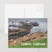 Cambria Californië Briefkaart (Voorkant / Achterkant)