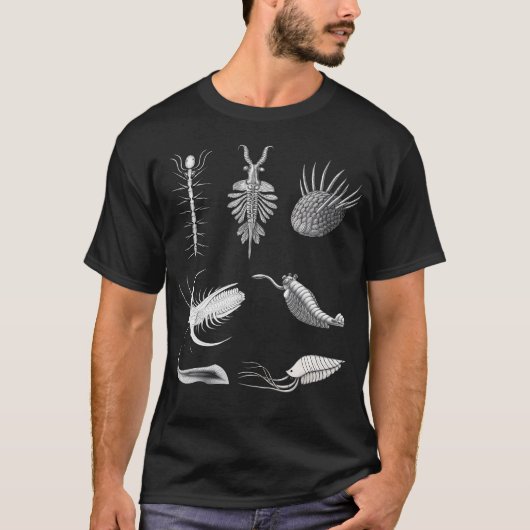 Cambrian Creatures Fossil Paleoart Evolution Scien T-shirt (Voorkant)