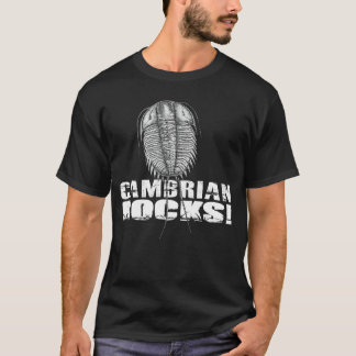 Cambrian Rocks meisje T-shirt