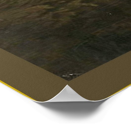  Cambridge Crew 1910-1915 Poster (Hoek)